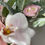 Thumbnail: Matching Bridesmaid Petite Bouquets pink artificial flowers