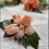 Thumbnail: dress corsage with pink peach roses and peony for form, prom or wedding occasion