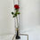 Thumbnail: long stem red rose in white gift box with 2025 graduate tassel -  for graduation ceremony