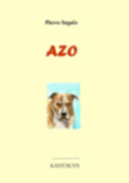 Copie de 8. Azo.jpg