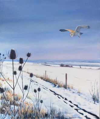Owl hunting over Wittenham Clumps