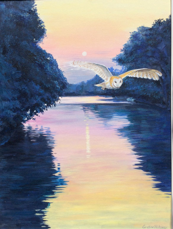 Barn Owl over the Thames