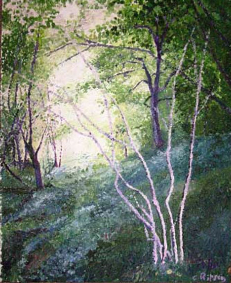 Light through the Trees