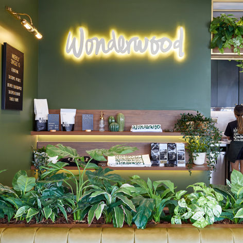 the word wonderwood that is on a wall