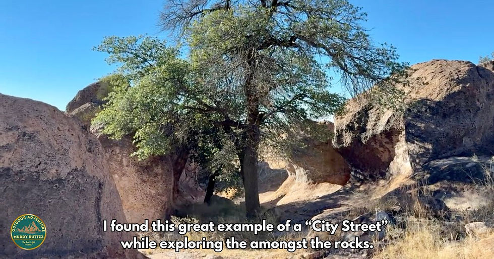 Rocky landscape with trees under a clear blue sky. Text reads: "I found this great example of a 'City Street' while exploring."