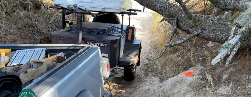 Xventure Did Not Clear Tree. Trailer with roof top tent at Oregon Dunes. Tree across the trail blocked trailer from proceeding.