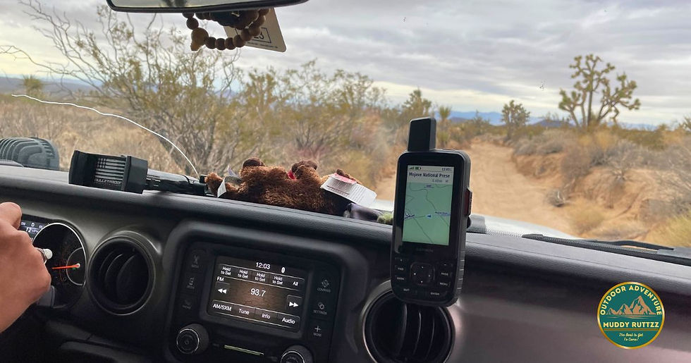 Interior of a car on a desert trail, driving through a landscape with Joshua trees. Dashboard shows a navigation GPS and radio.