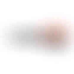 12" Straight Snips made by Wiss for making long cuts in light guage sheet metal.