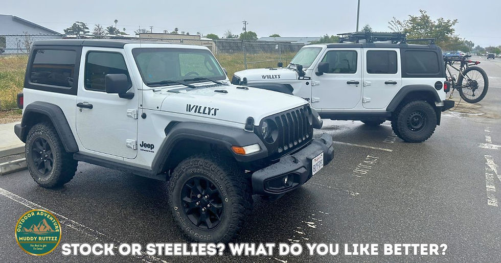Two white Jeep Willys in a parking lot, overcast sky. One has a bike rack. Text: "STOCK OR STEELIES? WHAT DO YOU LIKE BETTER?"