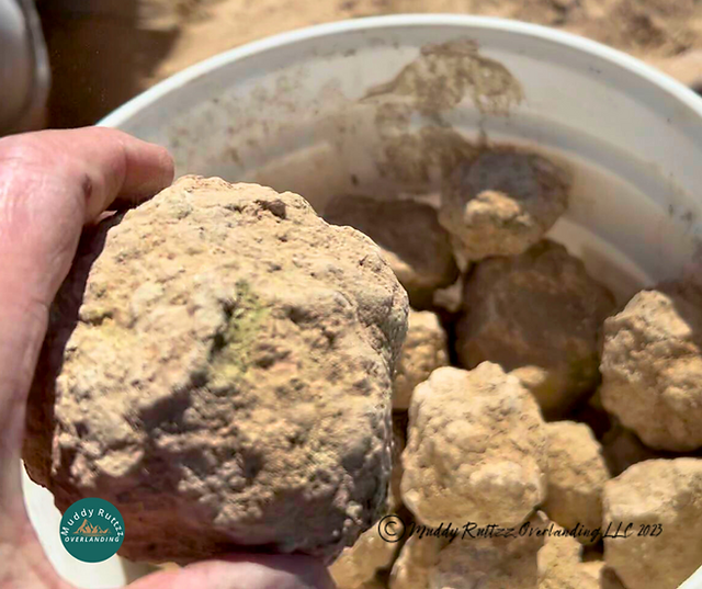 A Geode found at the Hauser Geode Beds 