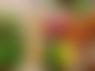 KraftFeld Gemüsekiste #15/2024