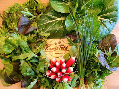 2. KraftFeld Gemüsekiste 2023