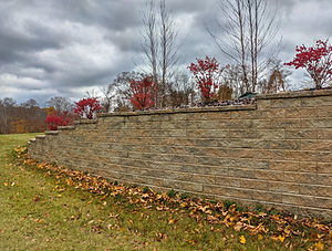 PXL_20211113_191538744.MP.jpg