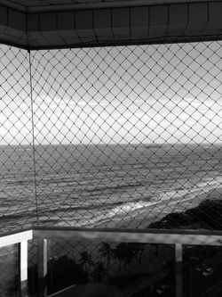 NICOLAS NASCIMENTO - FOTOGRAFIA - 2021