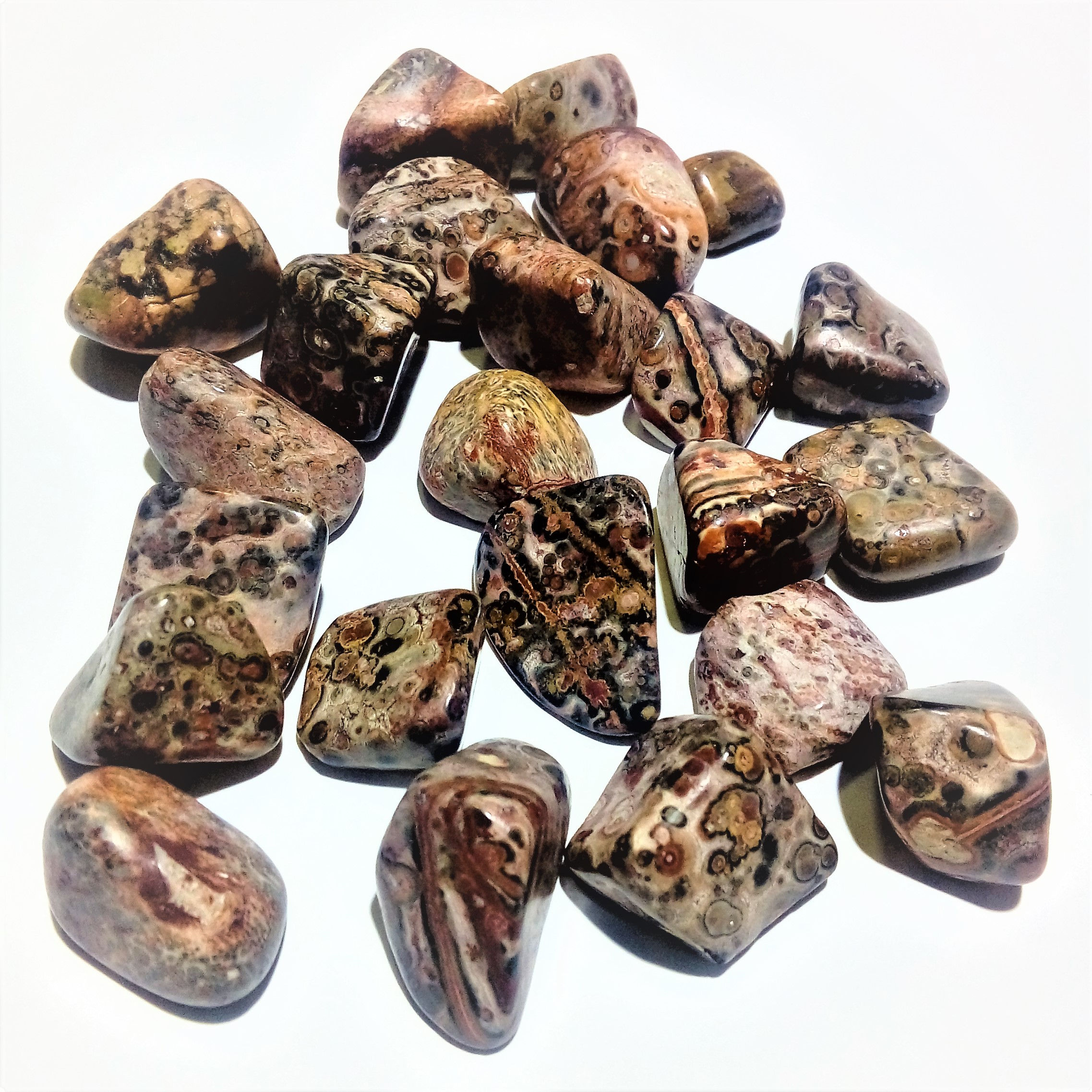 Rodado Jaspe Leopardo