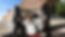 Limo (2).png