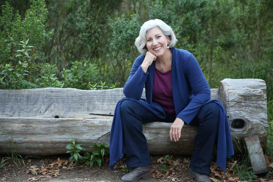 Parenthood Clarity Mentor Ann Davidman