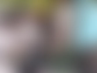 NCD Screening & Health Education Program - World Diabetes Day 2025