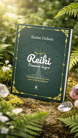 Livre reiki niveau 1 Les Petites Cometes