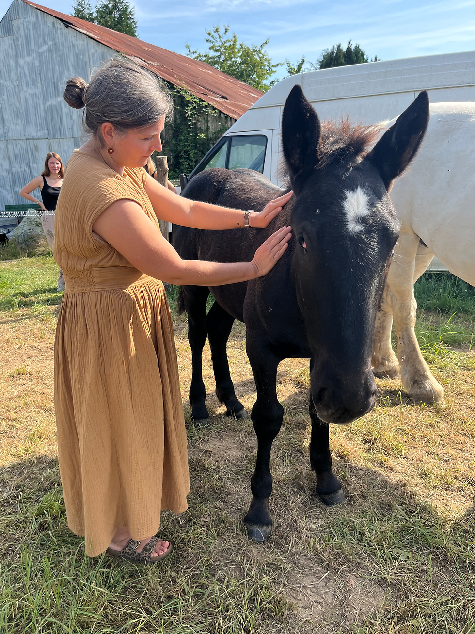 devenir-maitre-reiki