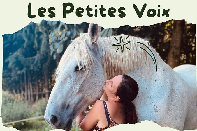Stage-communication-animale-normandie