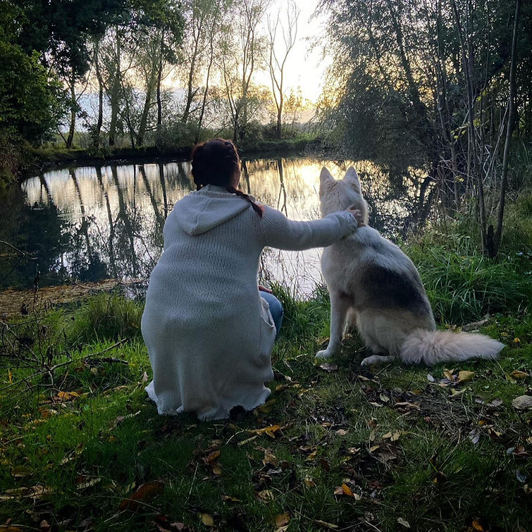 stage reiki normandie