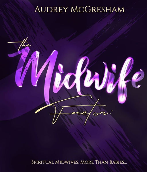 The Midwife Factor Book Cover