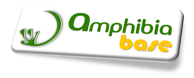 Amphibia BASE - Bamboo Advanced Structures | Multipurpose spaces