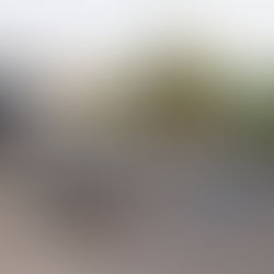 Más de 1.200 personas fallecidas por accidentes de tránsito en el 2023