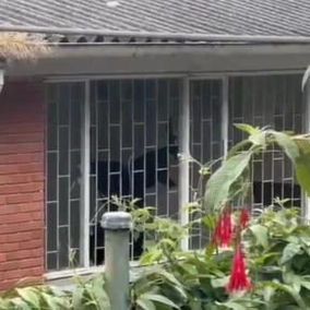 Hombre tiene atemorizados a los estudiantes de un colegio en Bogotá