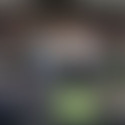 "Tetus" empezó su camino a la Asamblea de Cundinamarca