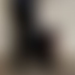 Proyecto busca prohibir a los perros de vigilancia en empresas públicas y privadas