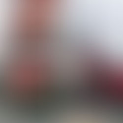 Hombre estuvo a punto de ser arrollado por una mula