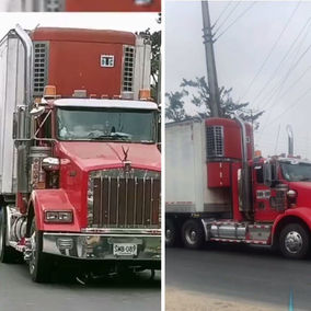 Hombre estuvo a punto de ser arrollado por una mula