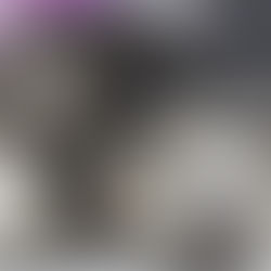 A la cárcel el hombre que arrastró a su perro en Cundinamarca