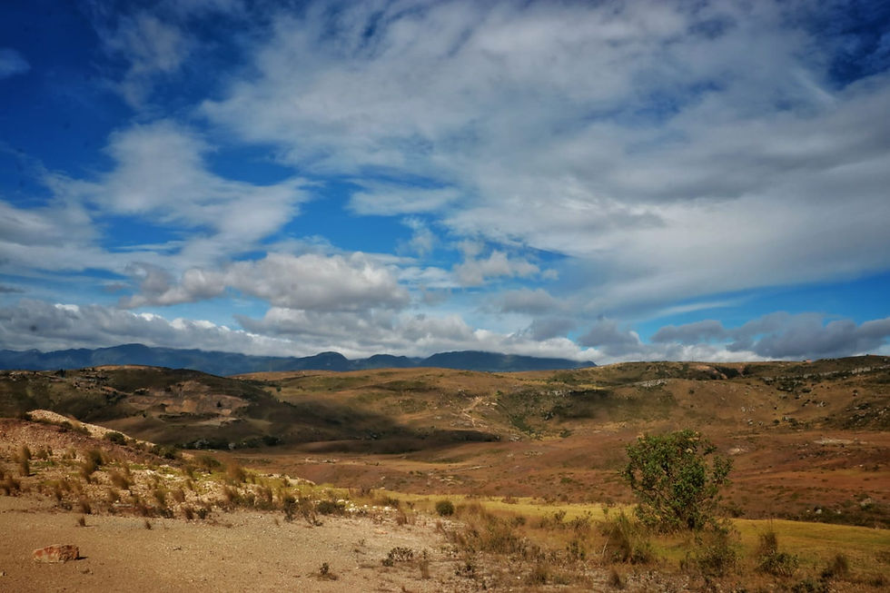 Terreno para parque ambiental