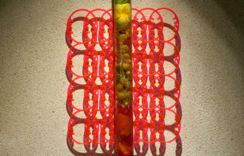 Detail, Walking in Bali