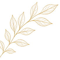 leaf-transparent-background_edited.png