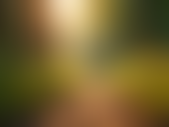 How Trauma Impacts Your Nervous System and Ways to Heal