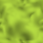 Silky light lime.png