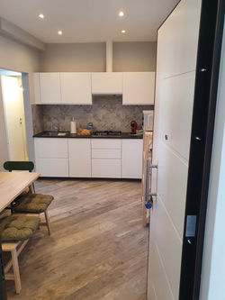 D71F9910-19C4-458A-BD83-8C42181F81E8_1_201_a