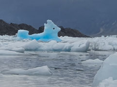 Patagonia 0229 05.jpg