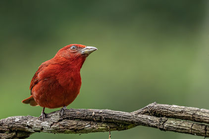 2304 Colombia 32.jpg