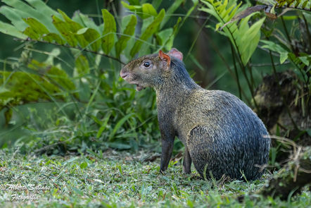 2304 Colombia 015.jpg