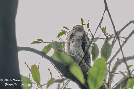 2304 Colombia 019.jpg