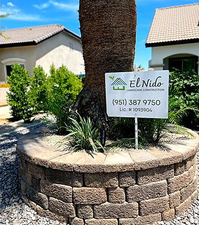 el nido walls