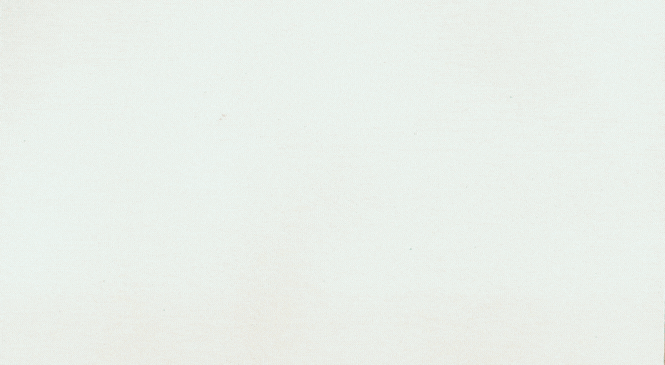 _Small business saturday (1).gif