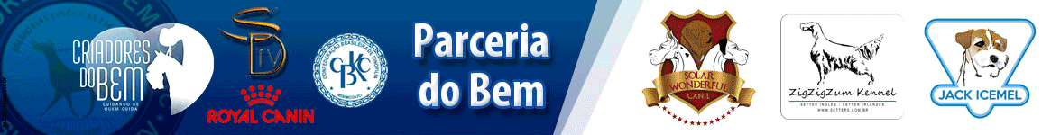 banner-animado-campanha-criadores-do-bem