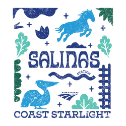 salinas.png