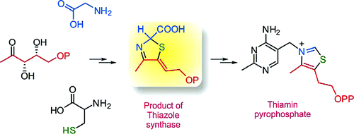 Vitamin B12 biosynthesis